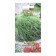 Seeds of dill "Esta", 2 g