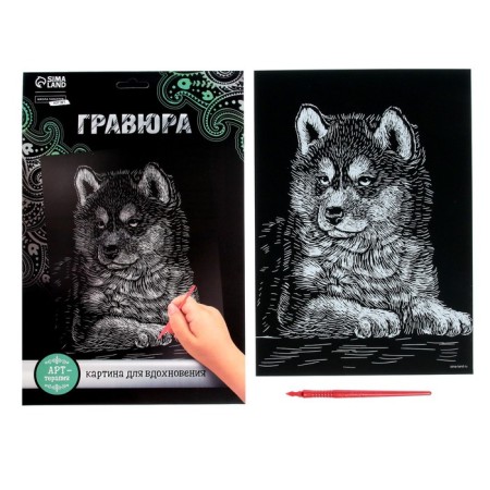 Engraving "Puppy Husky" with a metallic effect "silver" A4-2