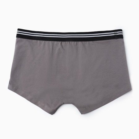 Panties men's boxers, color light graphite, size 62 (6xl)-5