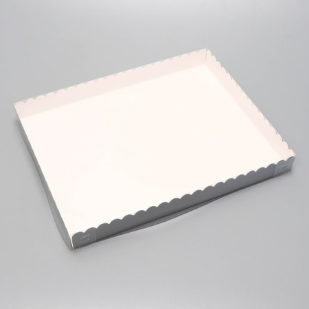 Box for cookies, silver, 23.5 x 30 x 3 cm-2