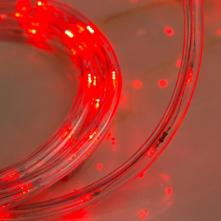 Luazon Lighting 10 mm light cord, IP65, 5 m, 24 LED/m, 220 V, 8 modes, red glow-2