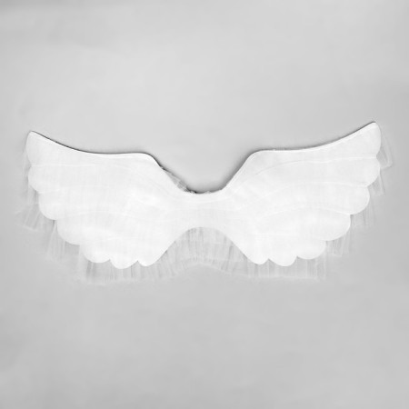 Carnival set "Angel", 3 objects: skirt, rim, wings-1