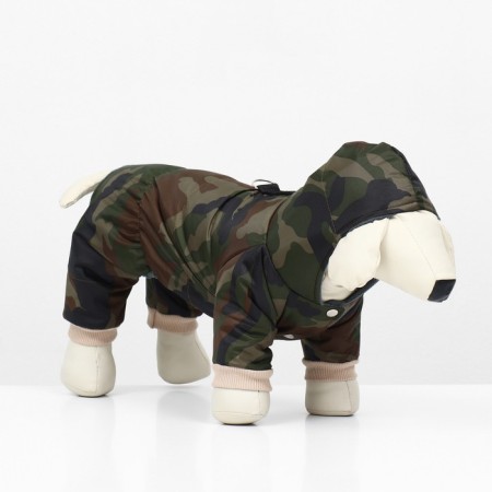 Zimovye jumpsuit for animals “Camouflage”, S (DS 20-22, OG 32-34 cm, Osh 26 cm), mix-2