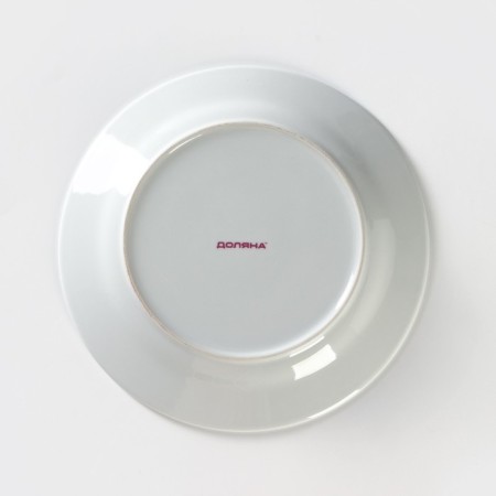 Plate Ceramic dinner shade "Madonna", d = 23 cm, white color-3