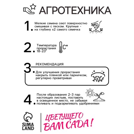 Astra seeds "Duches" mixture ", 0.2 g-3