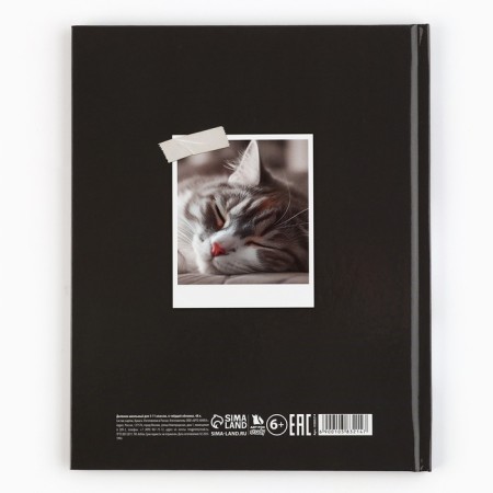 School diary 5-11 grade, in a solid cover, 48 liters. "Cat"-5