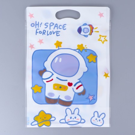 Gift package, with zip-lock fastener, "Cosmos", 15x23 ± 1cm