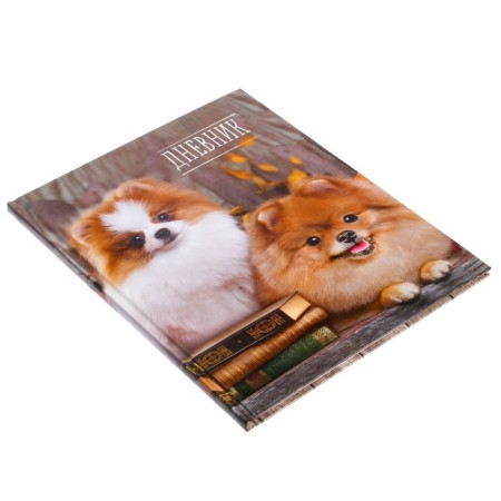 Universal diary for grades 1-11, "spitz", solid cover 7BC, glossy lamination, 40 sheets-2