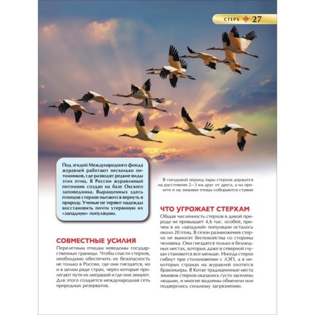 Children's Encyclopedia. Red Book-7