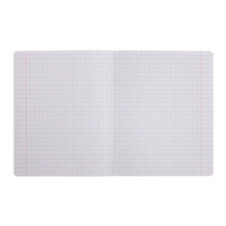 Notebook of 12 sheets in the large cage "Anime 013", cover coated paper, VD-LK, OFSET block, mix-1