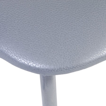 Vienna chair, silver metallic/metallic-3