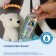 Oil spray my sun children, with aloe 200ml