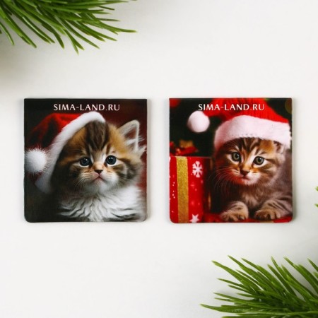 New Year. Bookmarks for books Magnetic 2 pcs on the substrate "Miracles in the New Year!"-3