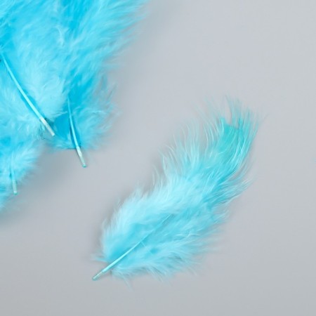 A set of feathers for creativity 30 pcs (14-17 cm), blue-2
