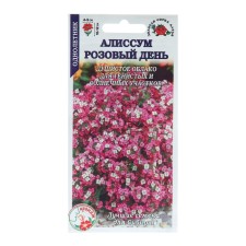 Alissum flowers 