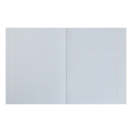 A set of notebooks of 5 pieces, 48 ​​sheets in the Calligrata “kittens” cage, covered cardboard, offset block-4