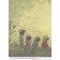 14 forest mice. Pumpkin. Ivamura K.