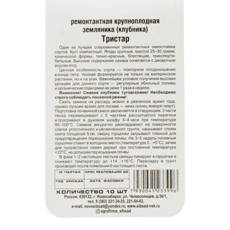 Strawberries "Tristar", 10 pcs-5