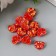 Decor for creativity Plastic "GROWTH" Crystal "Crystal 1.2x1.1 cm