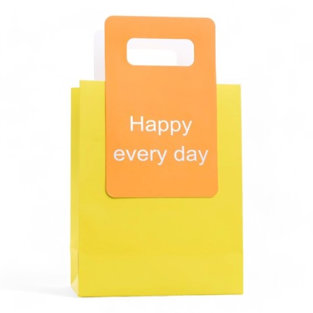 Gift package with a trimmed handle of 18 x 23 x 9 cm, lime-1