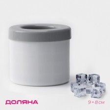 Form for ice shares, 9 × 8 cm, white/gray color