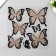 Room Decor multilayer stickers "Blobo with sparkles" 30x32 cm