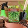 Cucumber seeds "Parisian Kornishon" "Leader", Early Ned, bee -legged, 20 pcs.