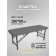 Cosmetological couch Basic + SV, size 180 × 60 × 68-84 cm, color gray color
