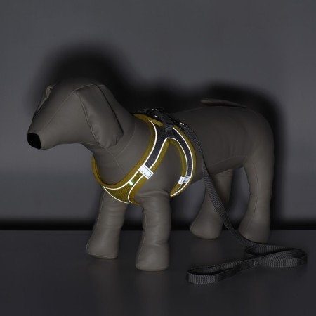 A set with a soft harness, fast-open, m, leash 150 x 1.5 cm, Osh 38-44 cm, og 44-50 cm, yellow-9