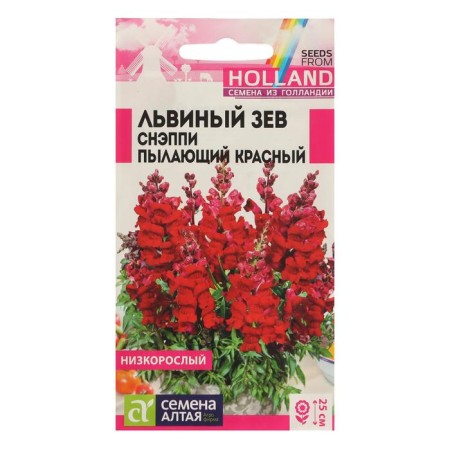 Flower seeds lion's pharynx Snappy "Burning Red", this. ALT, c/n, 10 pcs