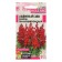 Flower seeds lion's pharynx Snappy "Burning Red", this. ALT, c/n, 10 pcs