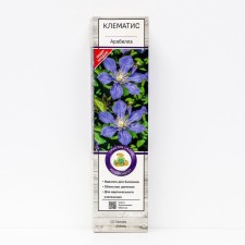 Clematis botanical (for cutting) 