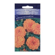 Flower seeds marigolds are erect stunted 