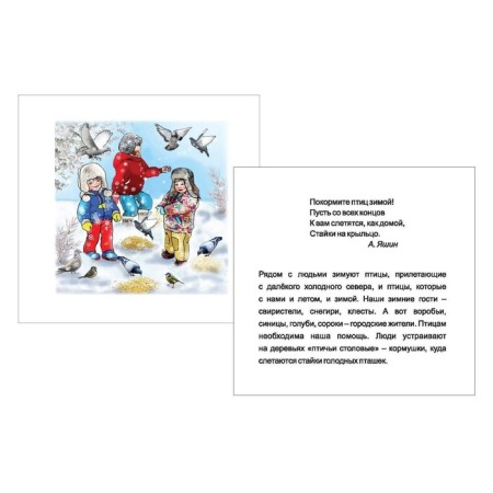 Seasons. Winter. 12 training cards-4