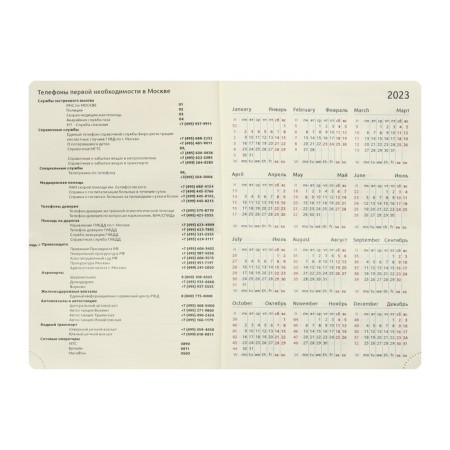Dated diary 2024 A5 176 sheets, Devente.I Love Cat, hard leather cover, stamping foil, lies, cream block 70 g/m2, lilac-4