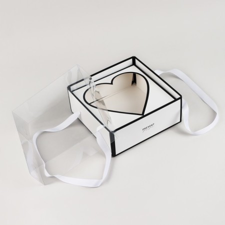Box for flowers with a mold liner and PVC cover "Present", 23.5 x 23.5 x 15 cm-2