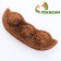 A toy for dogs "peas", tpr+bamboo, massage, 14 x 3.5 x 5 cm