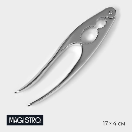 Magistro volt walnut, stainless steel