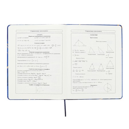Universal diary for grades 1-11 Perfect, hard cover, artificial leather, foil embossing, tinted block, 48 sheets-10