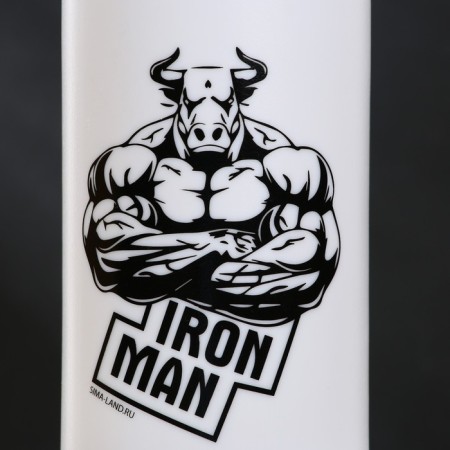 Water bottle Iron Man, 750 ml-2