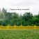 Decorative fence, 30 × 300 cm, 5 sections, plastic, yellow, Greengo