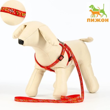 Set "Star Bones", leash 120 x 1 cm, og 23-35 cm, red