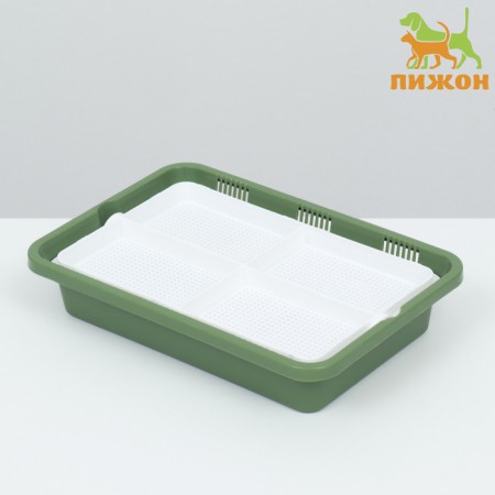 Tray for germination of grass to cats 26.5 x 17.5 x 5 cm