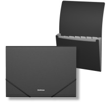 Folder-carte, A4, 6 departments, 600 μm, Erichkrause 