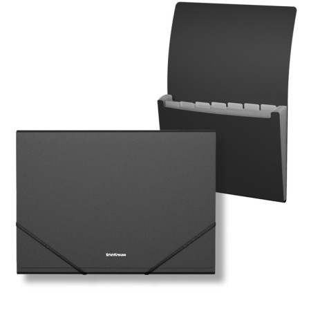 Folder-carte, A4, 6 departments, 600 μm, Erichkrause "Matt Classic", on the elastic band, embossing "sand", black