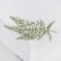 Brooch "Leaves" fern, green color in silver