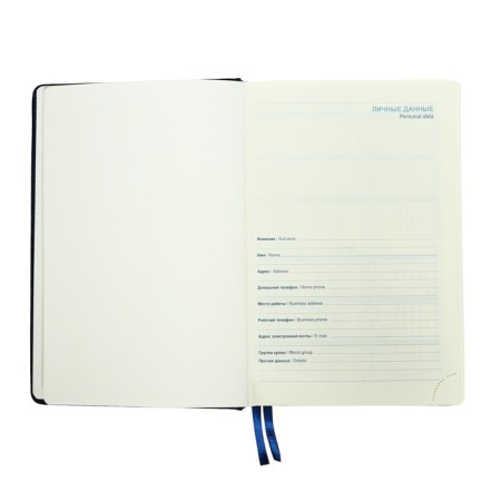 Dated diary 2024, A5, 168 sheets in the ruler, the leatherette "Nebraska", gold cut, blue-3