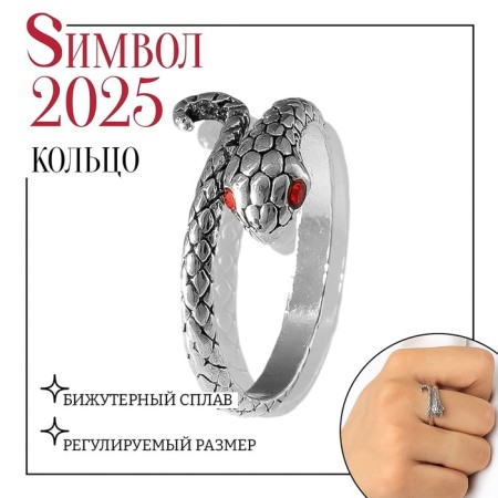 New Year! Symbol of the year 2025! The ring "snake" curl, red color in silver, dimensionless
