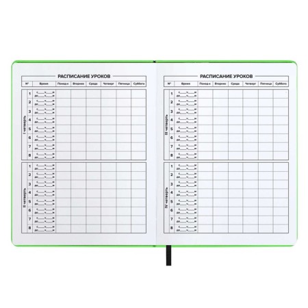 School diary for grades 1-11, solid cover, artificial leather, Soft-tach, silk-screen printing, keychain, lies, 48 ​​sheets, universal cheat sheet, block 80g/m2, neono-salad-6