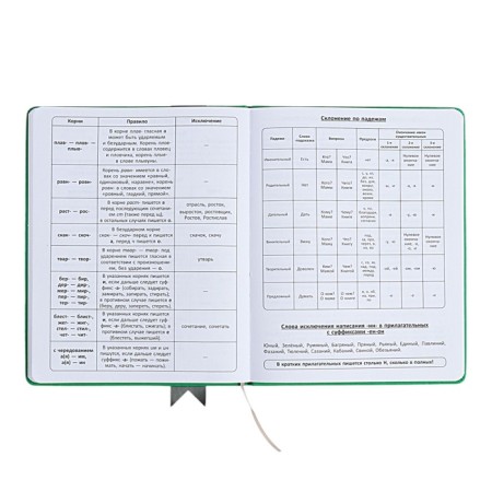 Universal diary for grades 1-11 Lenta, solid cover of artificial leather, applique, silkography, liesse, 48 sheets, green-10